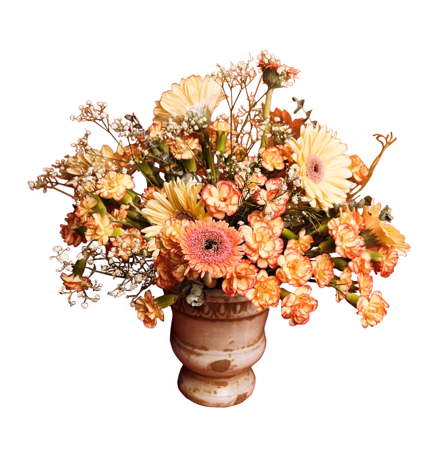 Autumn Blossom